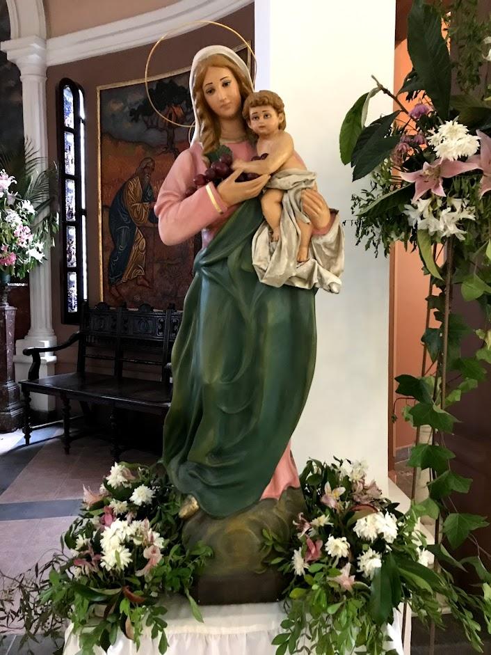 Testimonio del Padre sobre La Virgen de la Eucaristía